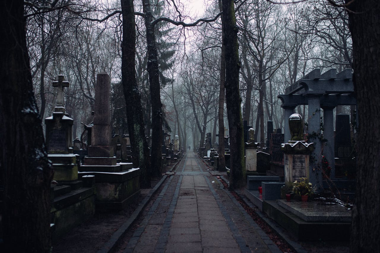 A misty winter morning in an old cemetery with tombstones and leafless trees lining the path.